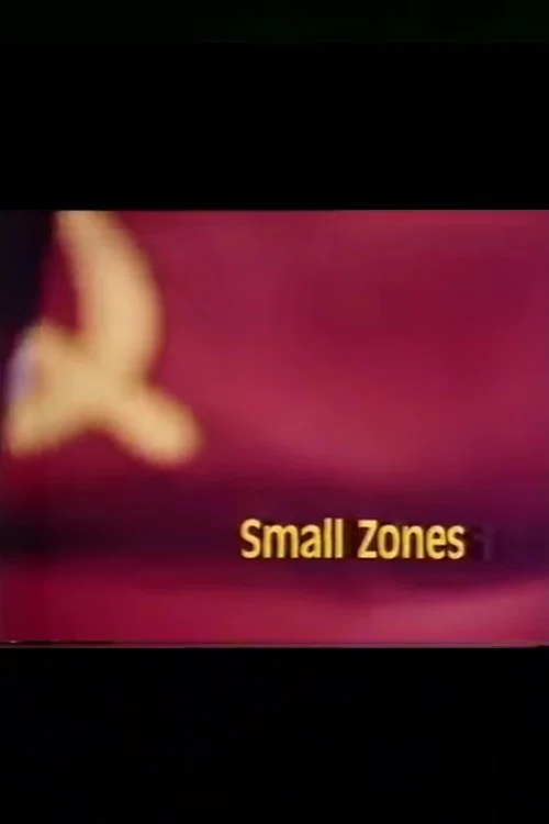 Small Zones постер