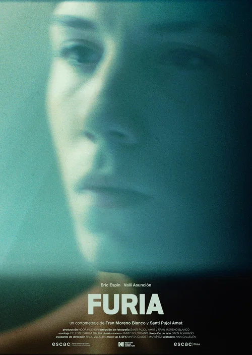 Furia постер