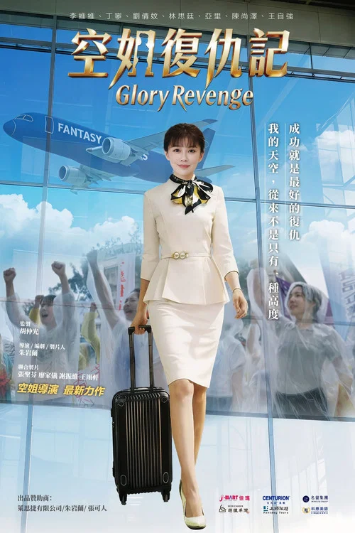 空姐復仇記 постер