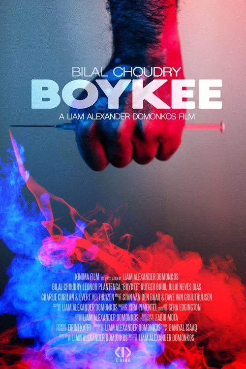 Boykee постер