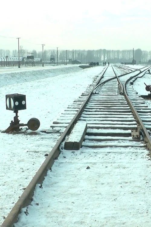 Mina 19 876 steg i Auschwitz / Birkenau постер