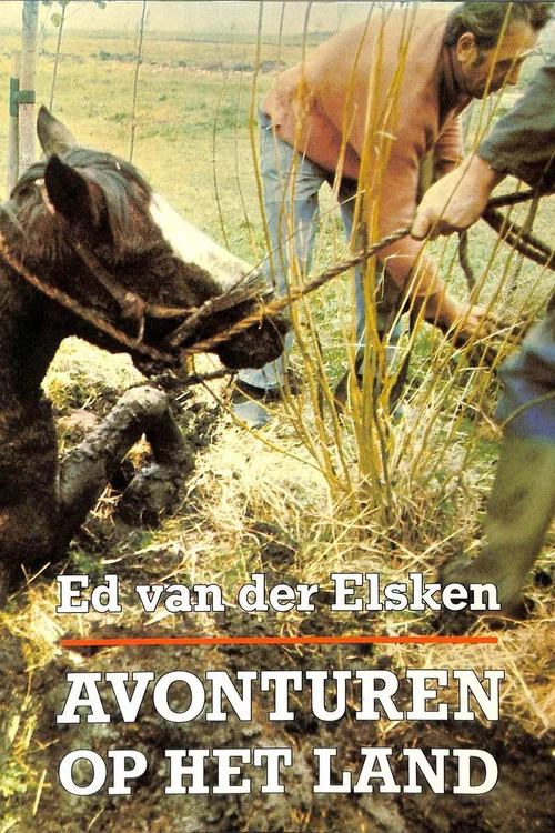 Avonturen op het land постер