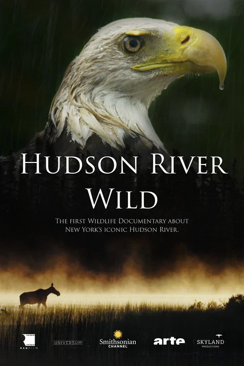 Hudson River Wild постер