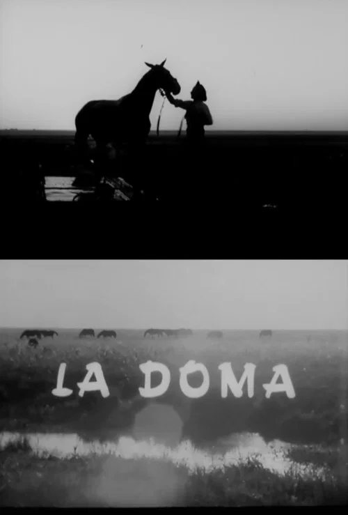 La doma постер