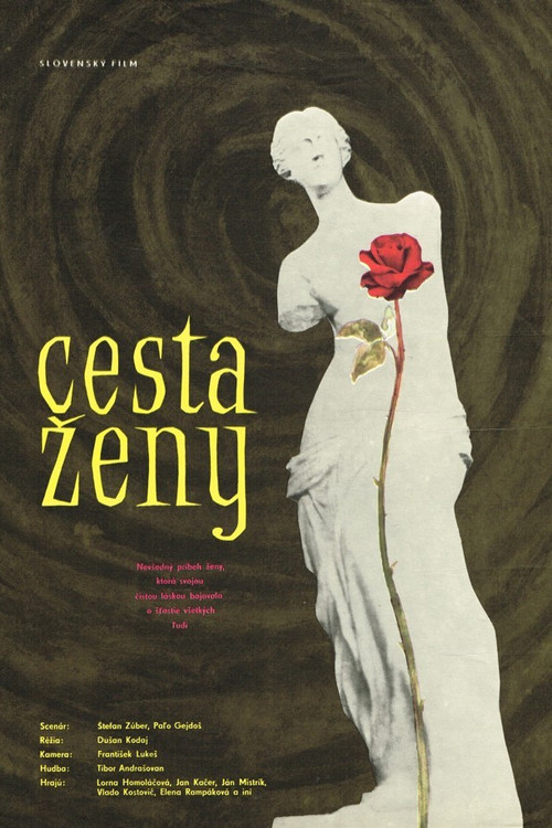 Cesta ženy постер