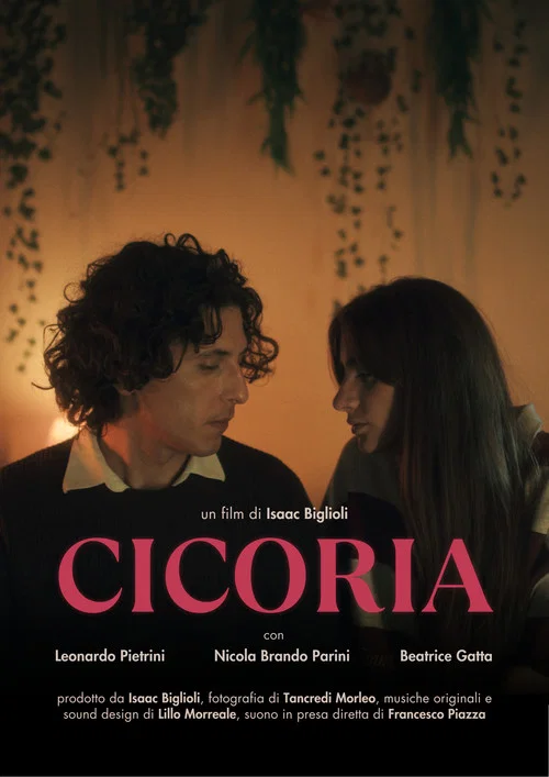Cicoria постер