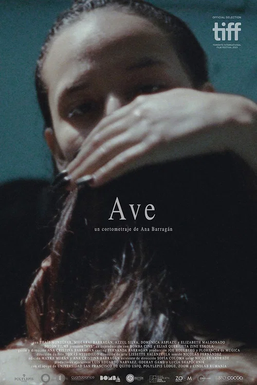 Ave постер
