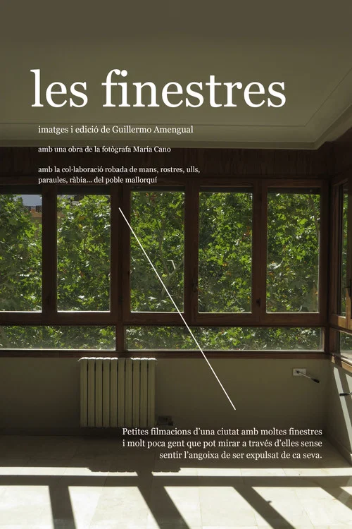 Les finestres постер