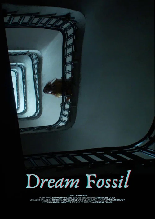 Dream Fossil постер
