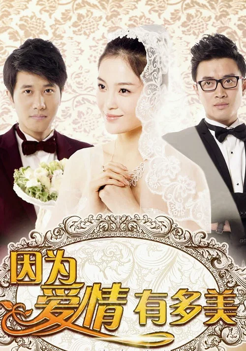 因为爱情有多美 постер