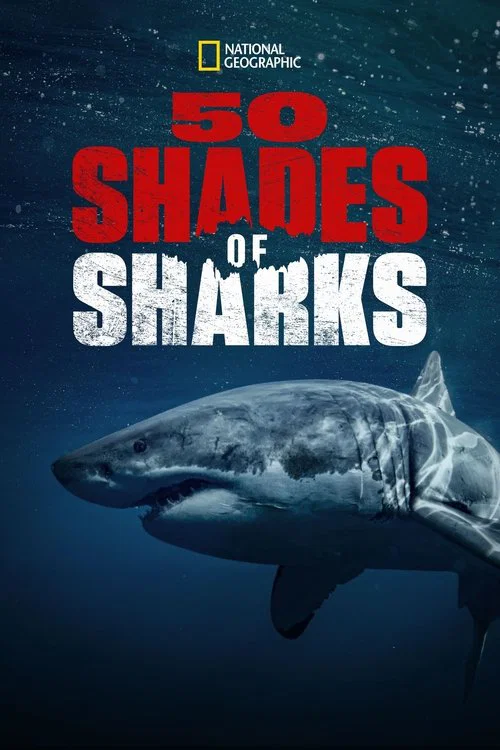 50 Shades of Sharks постер