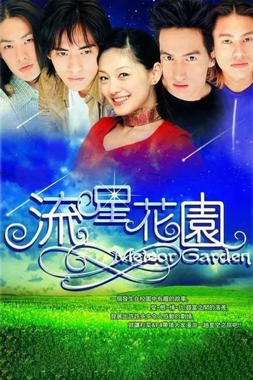 流星花園 постер