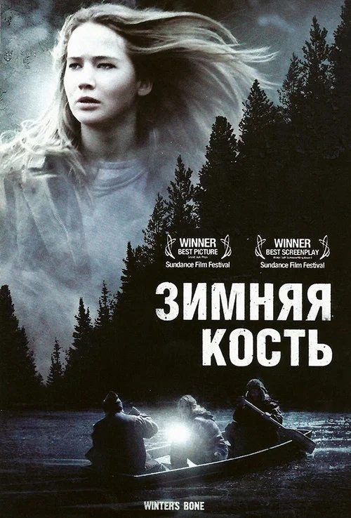 Зимняя кость постер