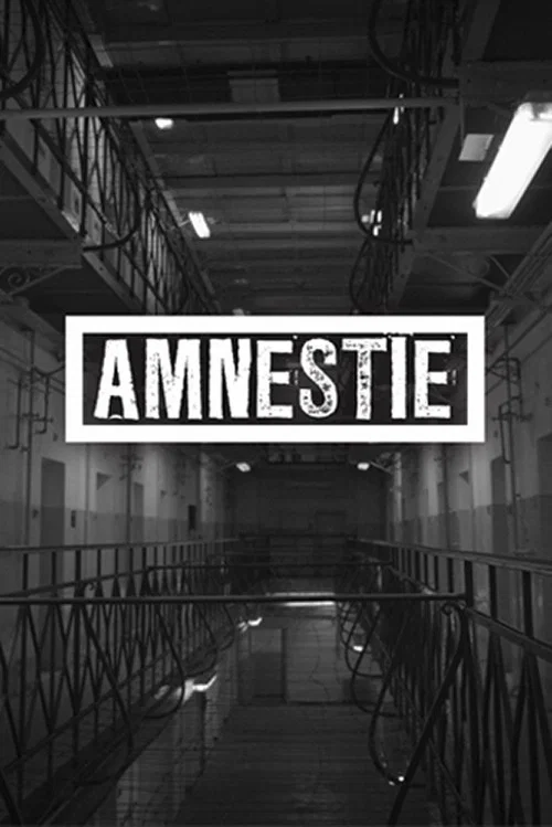 Amnestie постер