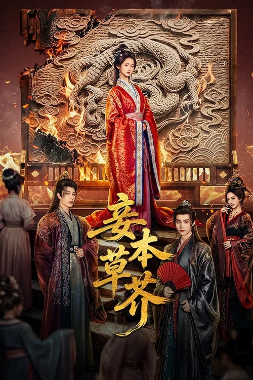 妾本草芥 постер