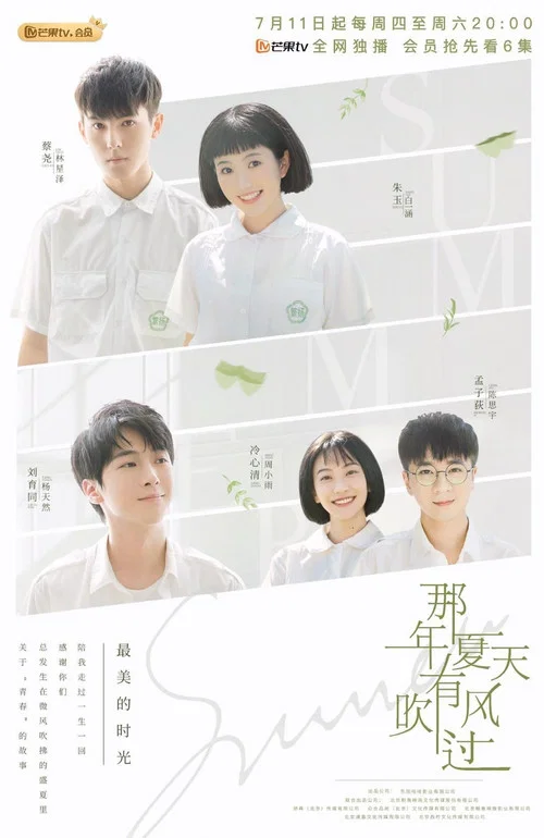 那年夏天有风吹过 постер