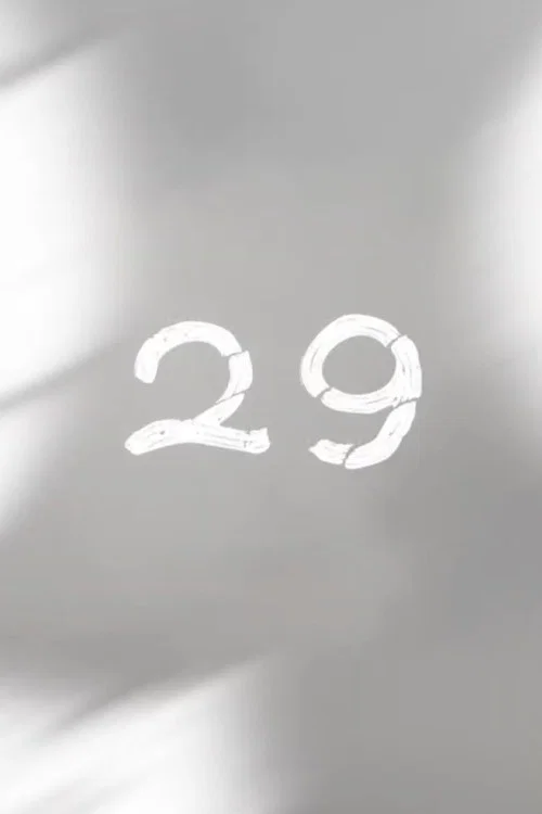 29 постер