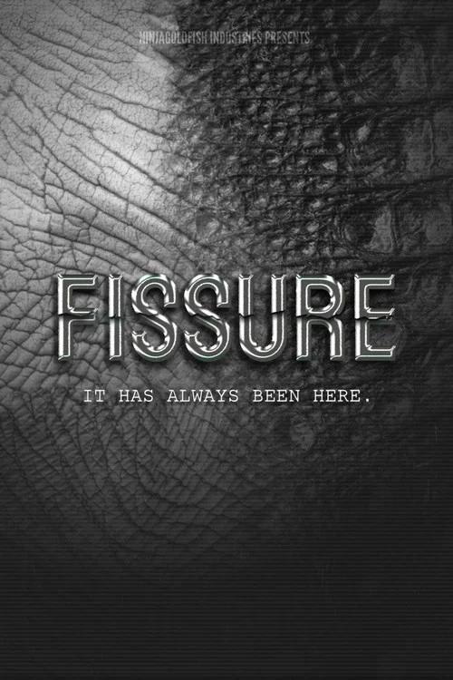 FISSURE постер