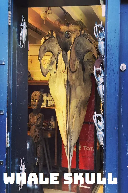 Whale Skull постер