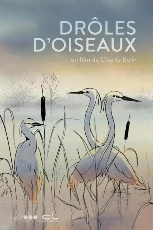 Drôles d'oiseaux постер