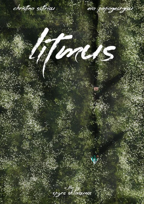 Litmus постер