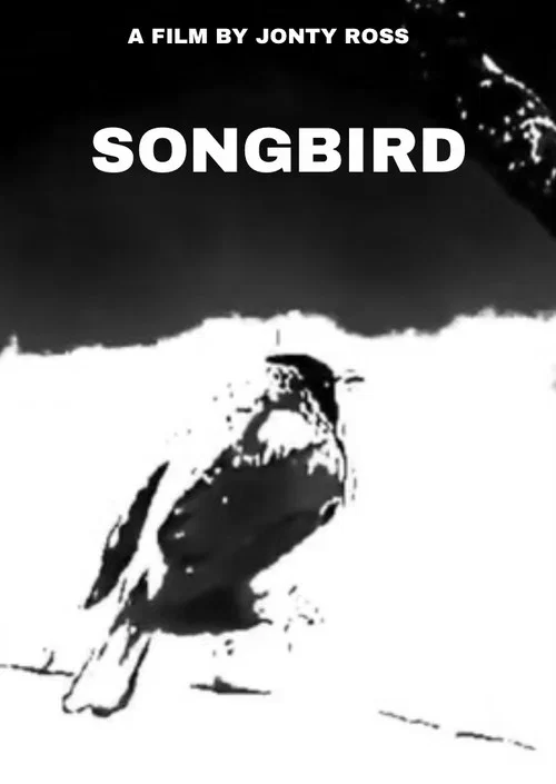 Songbird постер