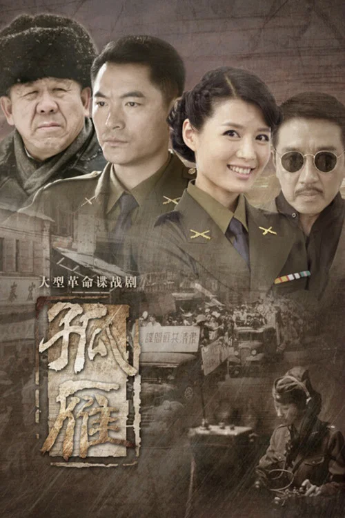 孤雁 постер