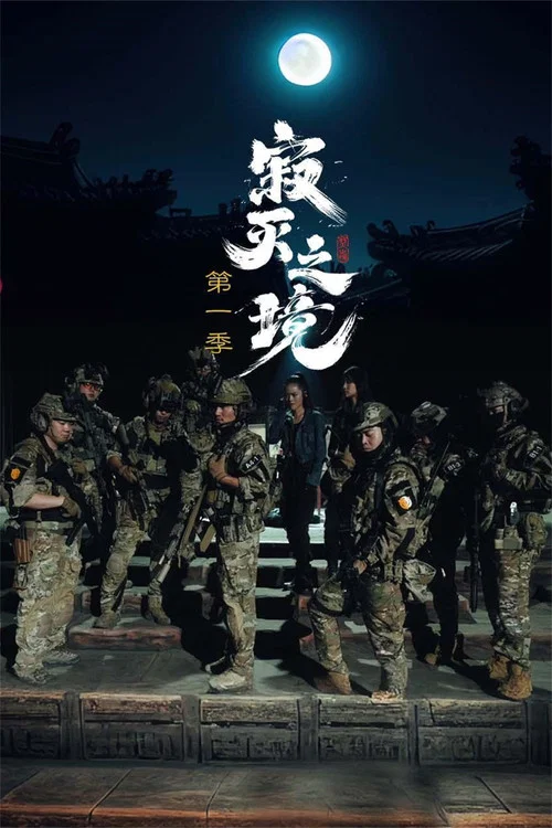 寂灭之境 постер
