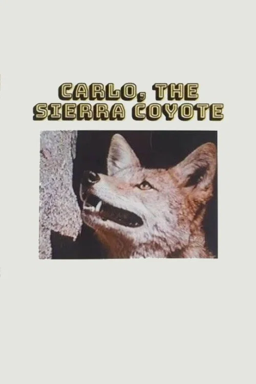 Carlo the Sierra Coyote постер