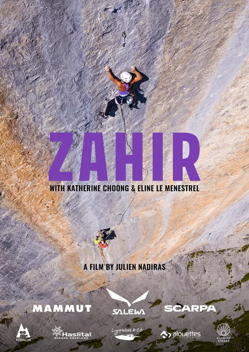 Zahir постер