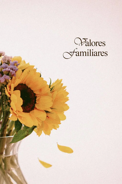 Valores Familiares постер