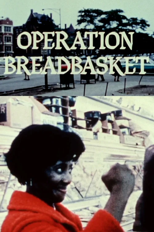 Operation Breadbasket постер