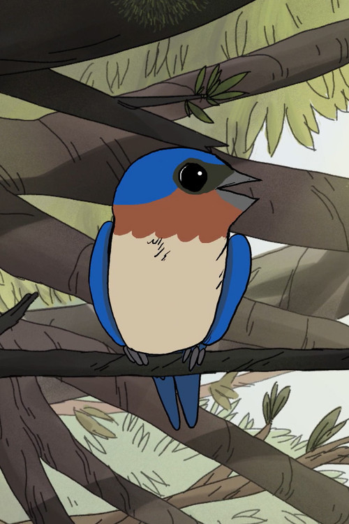 Birds постер