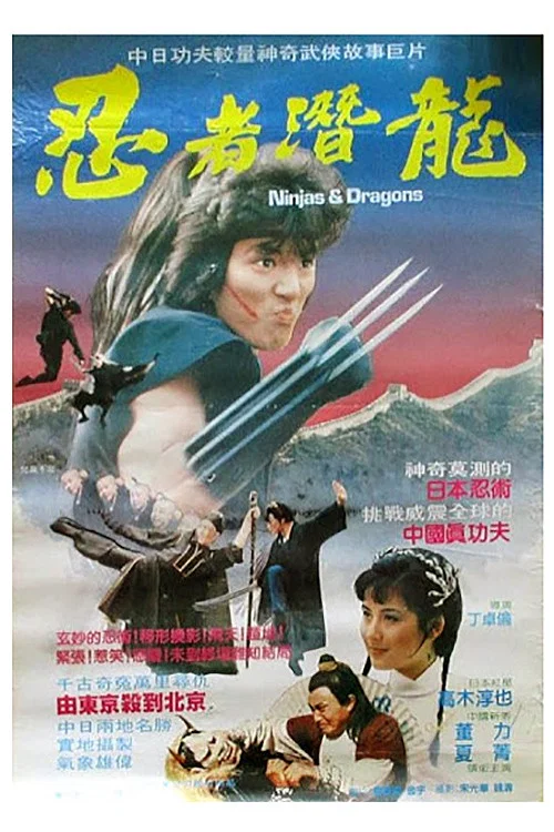 忍者潛龍 постер