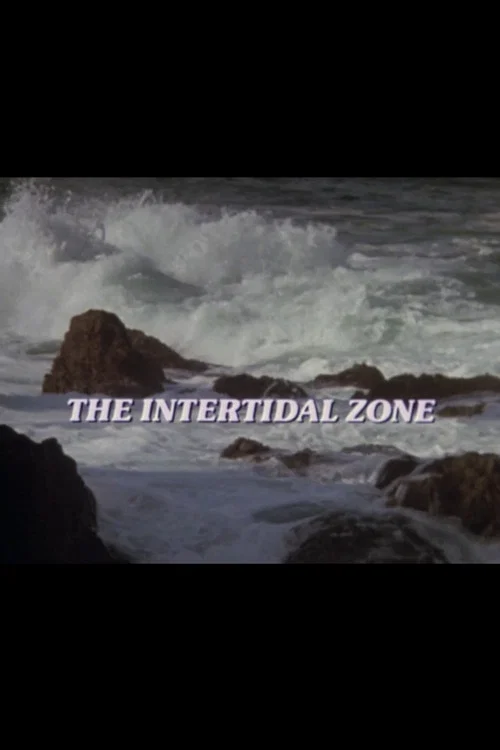 The Intertidal Zone постер