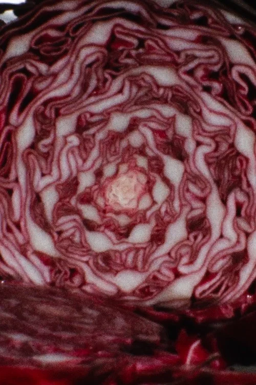Cabbage постер