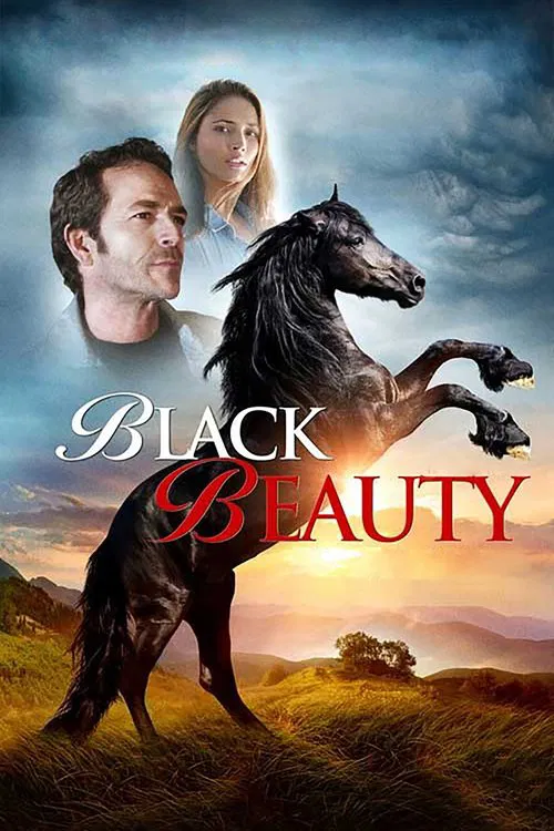 Black Beauty постер