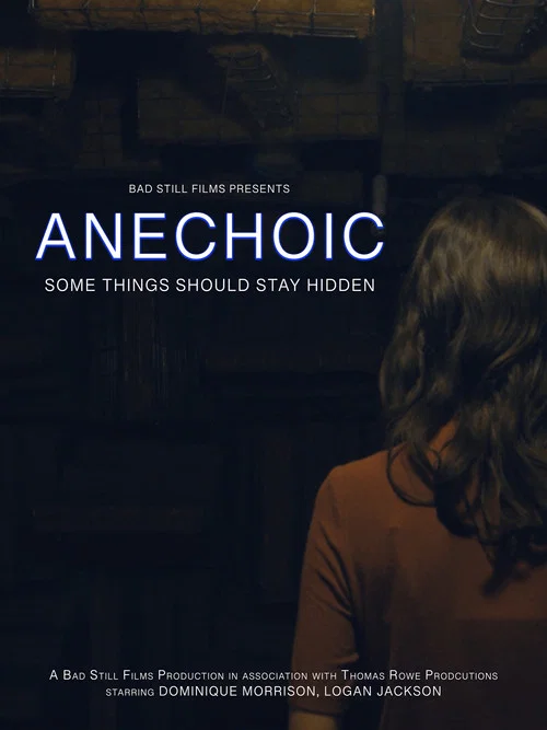 Anechoic постер