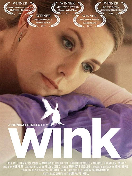 Wink постер