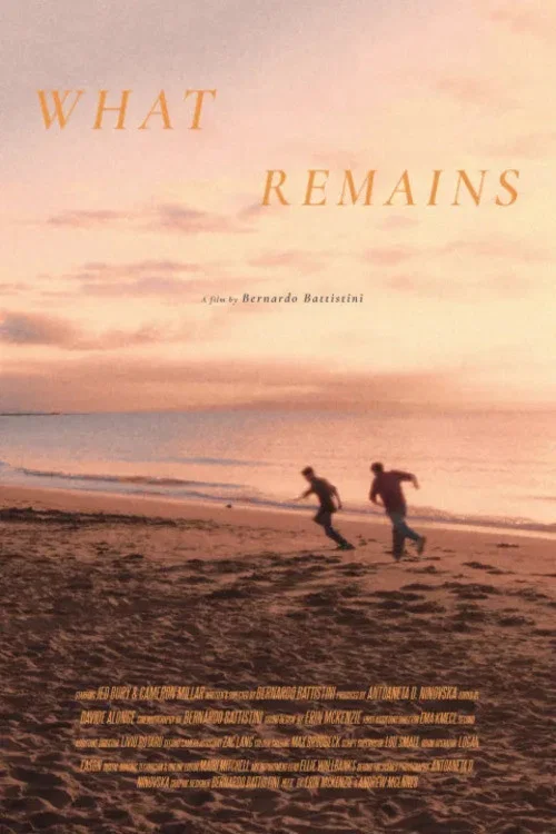 What Remains постер