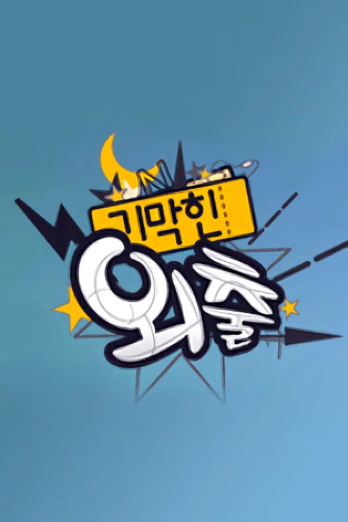 기막힌 외출 постер