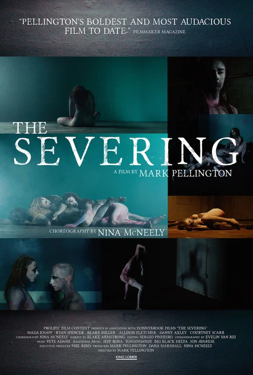 The Severing постер
