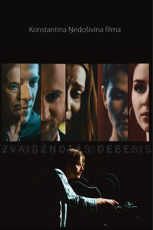 Zvaigžņotās debesis постер