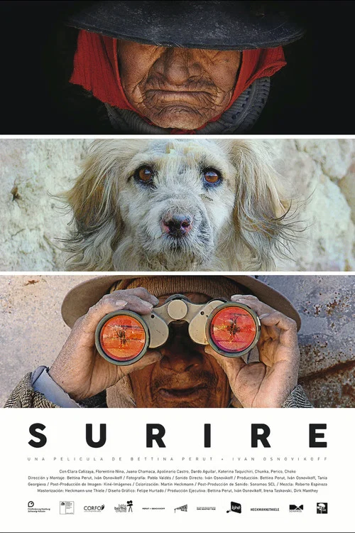 Surire постер