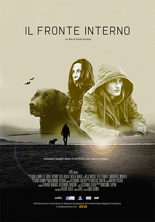 Il fronte interno постер