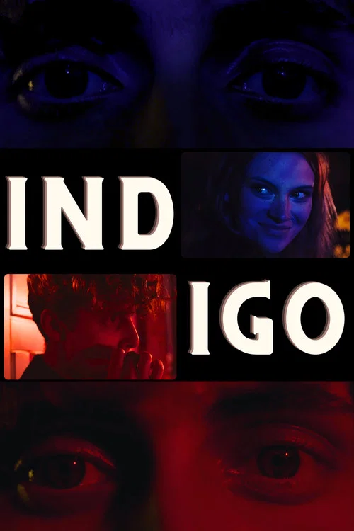 Indigo постер