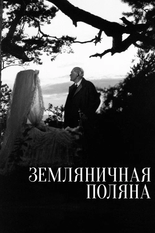 Земляничная поляна постер