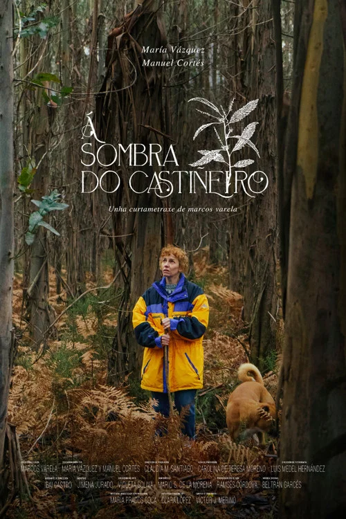 Á sombra do castiñeiro постер