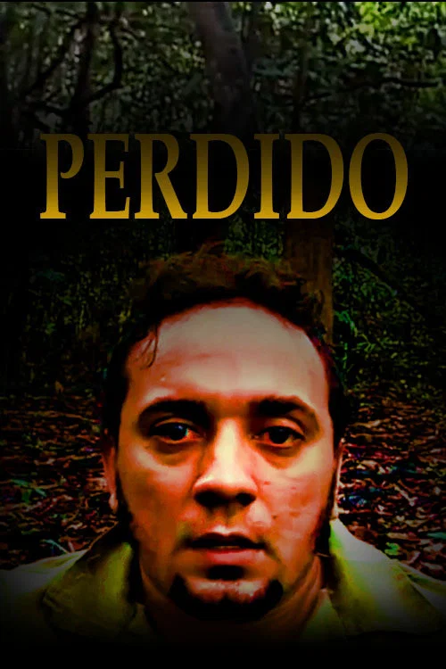 Perdido постер