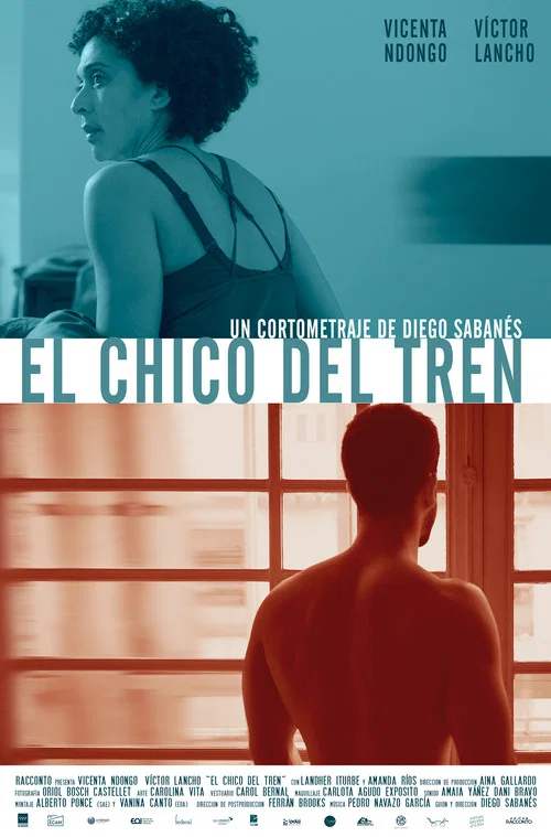 El chico del tren постер